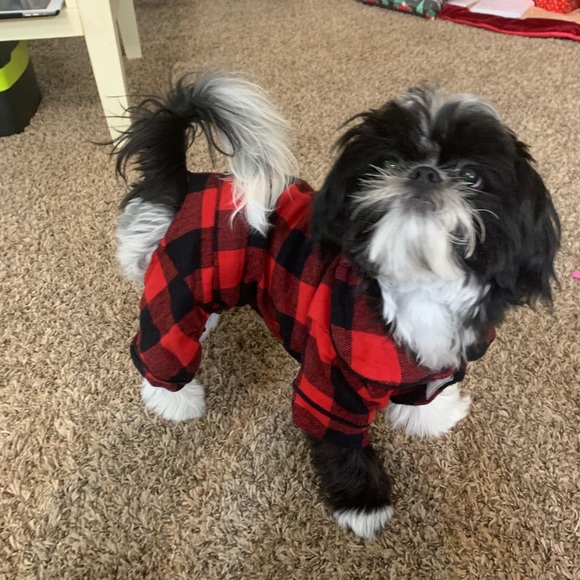 Meet your Posher, Claire - Picture 1 of 1